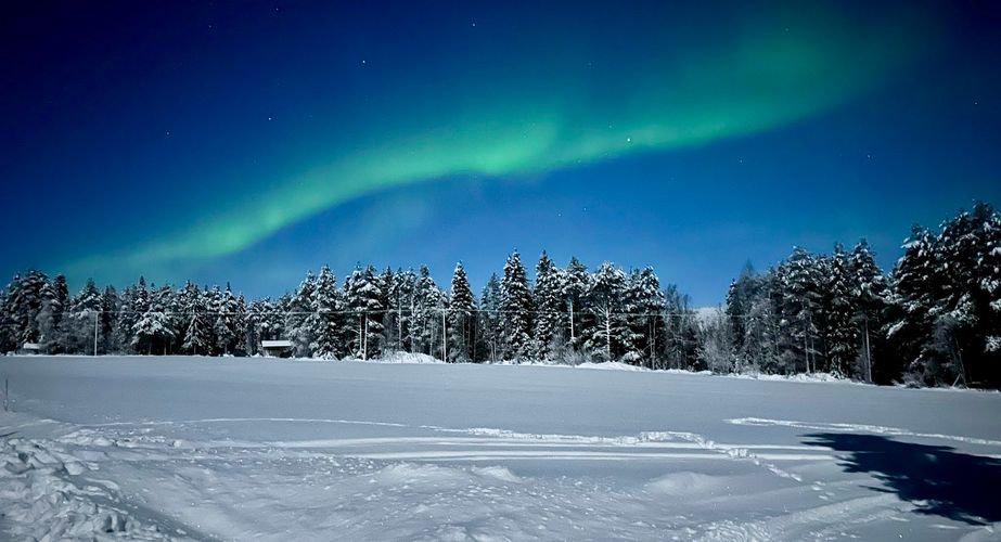 Noorderlicht proberen te spotten